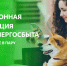 по электронной квитанции можно без комиссии оплачивать единый счет за услуги ЖКХ от АтомЭнергоСбыта - фото - 1 - Ершичский район
