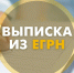 изменились форма и формат запроса выписки из Единого государственного реестра налогоплательщиков - фото - 1 - Ершичский район