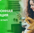электронную квитанцию получил – через цифровые сервисы оплатил - фото - 1 - Ершичский район
